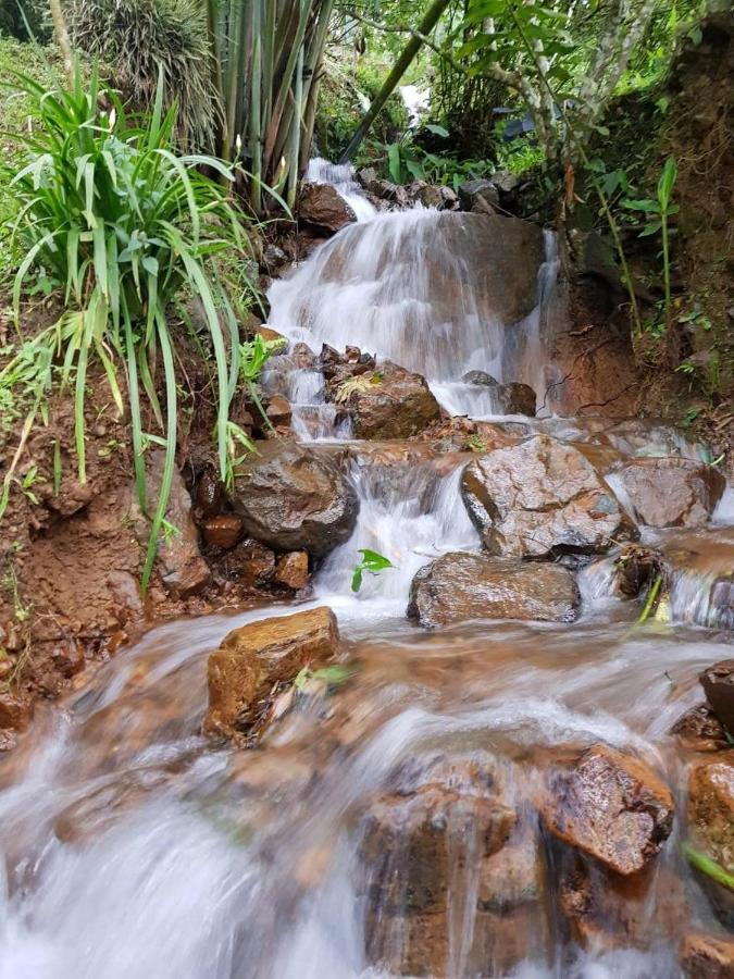 Finca Turistica Los Rosales Pereira Bagian luar foto